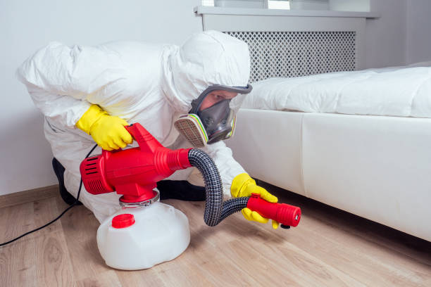 Best Local Pest Control Services  in Winona, MN