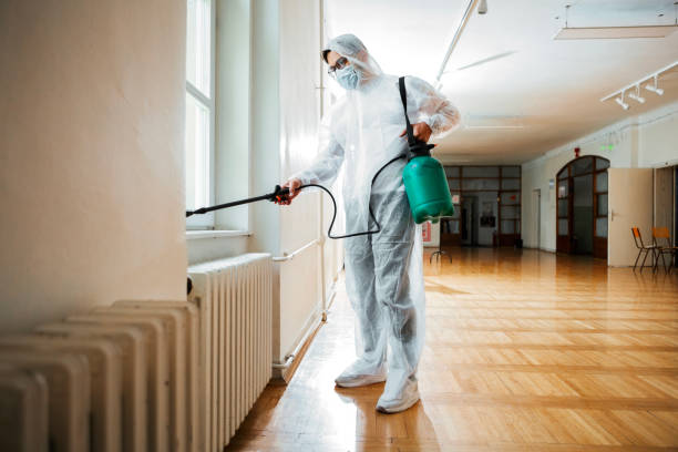 Best Wasp Removal Services  in Winona, MN