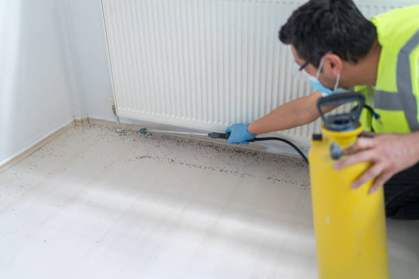 Best Bed Bug Extermination  in Winona, MN